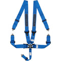 ~(7 lbs. 12X9X5)~ Blue 5-Point Camlock