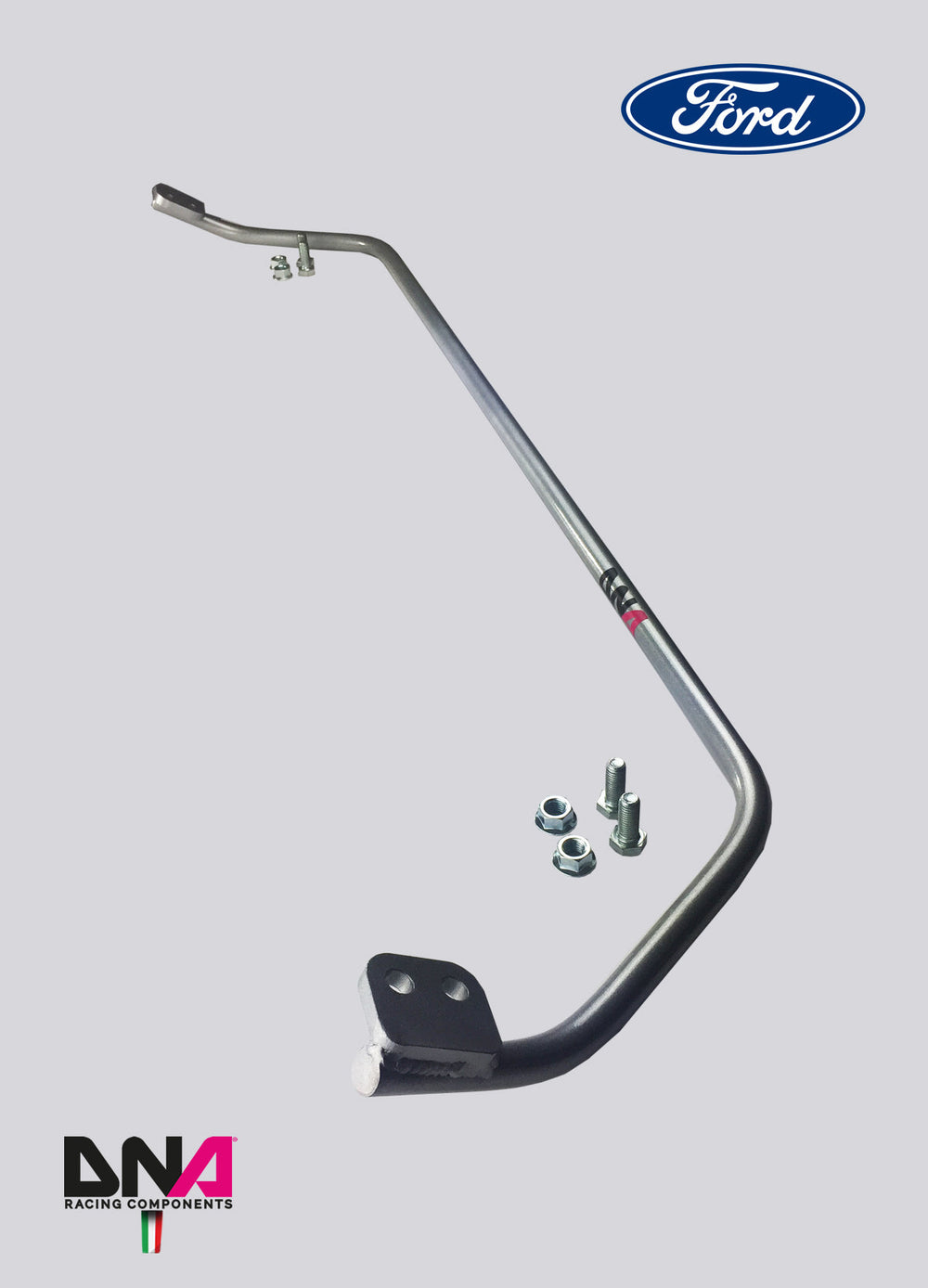DNA Racing rear torsion bar spring steel O 22mm kit Ford Fiesta MK7