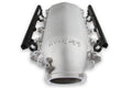 Holley EFI LS1 LO-RAM NAT KIT W 102MM TB 120B INJ 300-620-120K