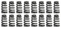 Valve Spring KIt 6.4 Hemi