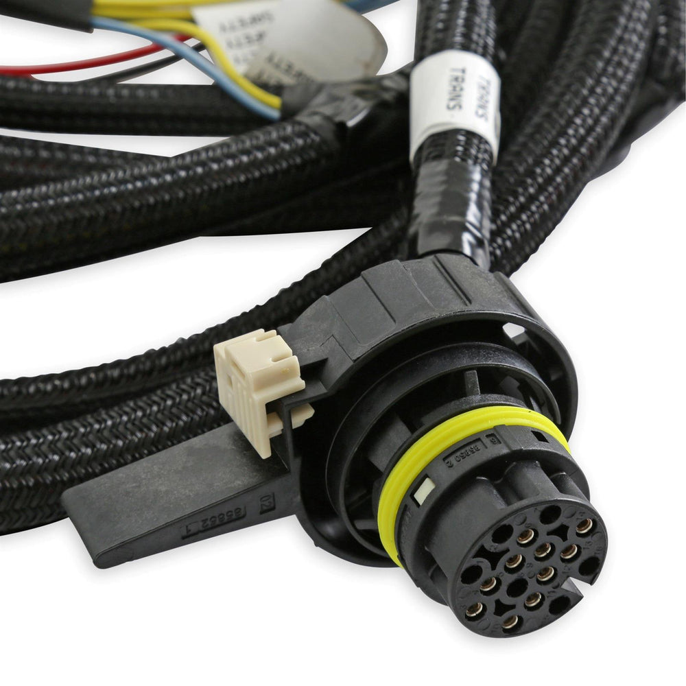 HOLLEY MA MPFI W/TRANS CONTROL 550-918-B
