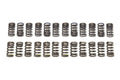 VALVE SPRING SET VR38DETT