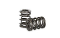 Kelford HONDA B16A/18C RACING VALVE SPRING SET