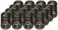 Buddy Club Racing Spec Valve Springs K20