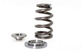 Kelford Ford Gen 1 5.0 Litre Coyote V8 Beehive Valve Spring Set