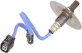 O2 OXYGEN SENSOR
