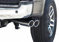 CAT-BACK DUAL SPORT EXHAUST SYSTEM,