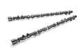 CAMSHAFT SET PROCAM RB20DE(T) 272-10.25 SOLID