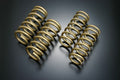 Tein 02-06 Altima H. Tech Springs