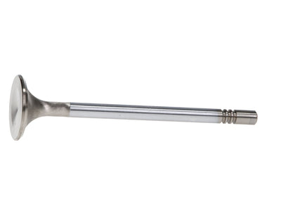 Manley VALVE-FD 5.0L E/D 31.5mm ST
