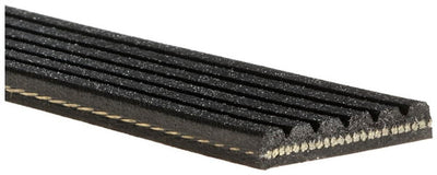 V-RIBBED BELT