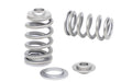 Kelford 4G63DOHC PACALOY Spring / Ret set