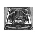 65-66 UNDERHOOD STAINLESS TRIM