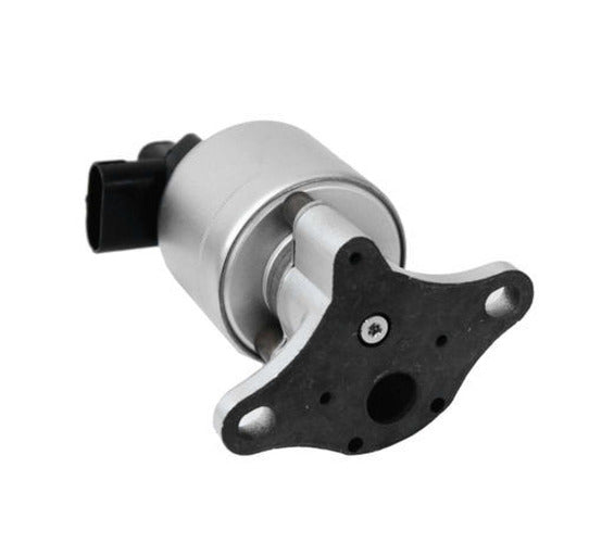 EGR Gasket