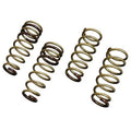 Tein 18-19 Honda Accord 1.5L 4 Cylinder H Tech Springs