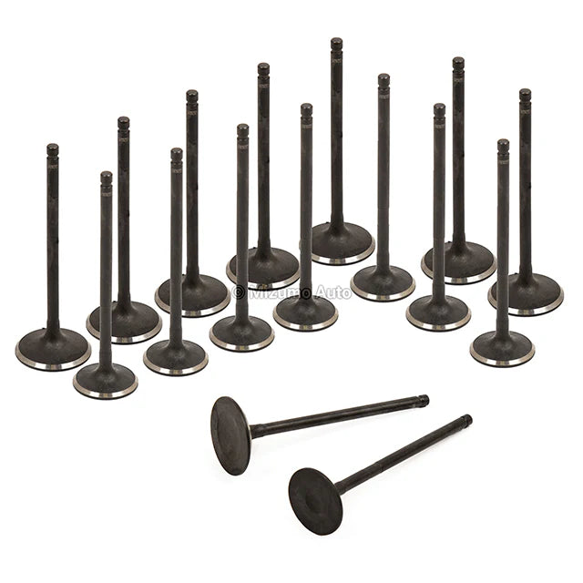 Intake and Exhaust Valves