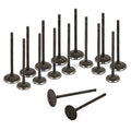 Intake and Exhaust Valves