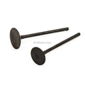 Intake and Exhaust Valves