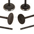 Intake and Exhaust Valves