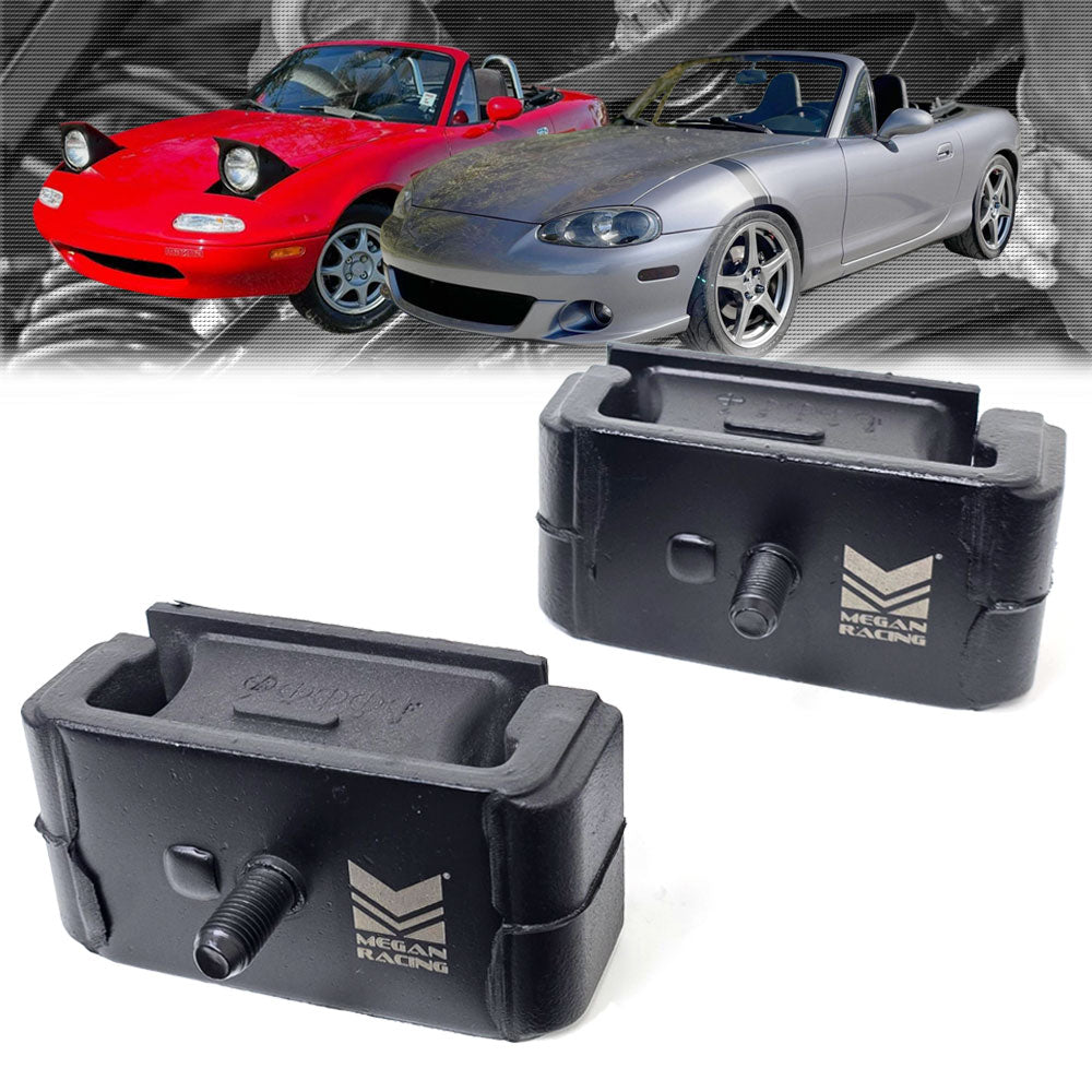 Motor Mounts