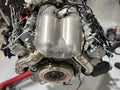 Catless Downpipes