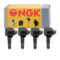 Iridium IX Spark Plug