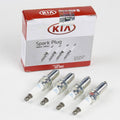 Iridium Spark Plug