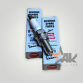 Iridium Spark Plug