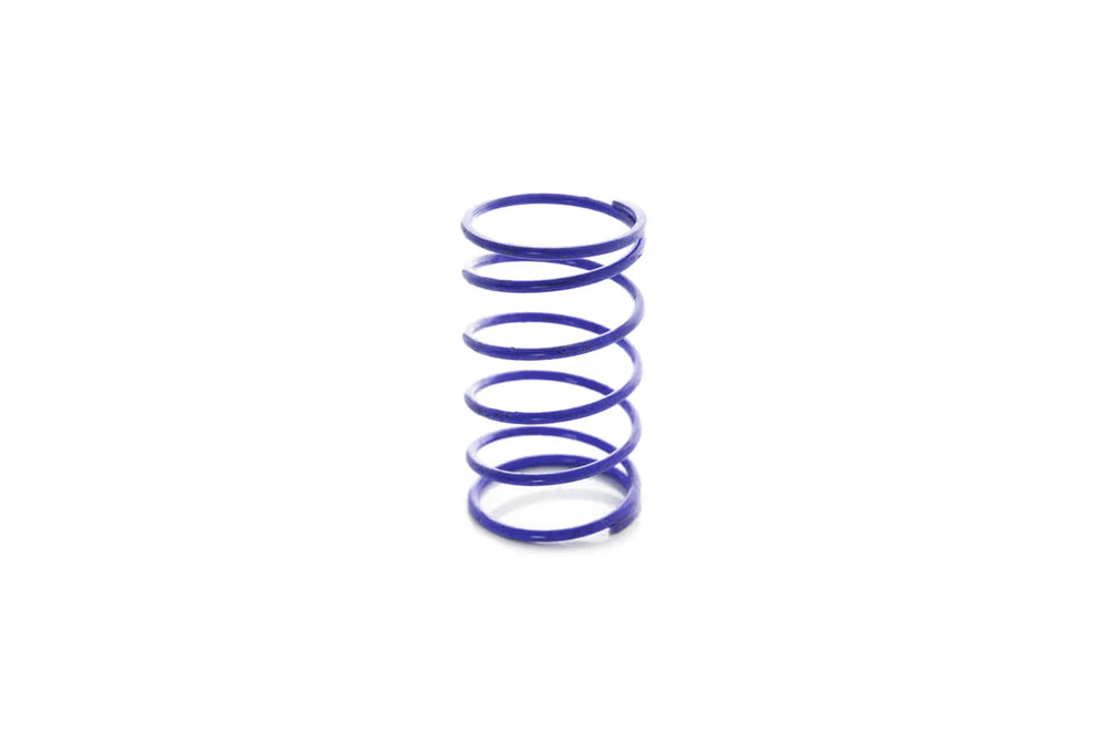 PW40 External Wastegate 4 PSI Blue Spring