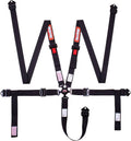 5-Point Camlock Harness System, 2-Inch