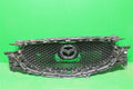 Radiator Grille