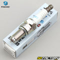 Iridium Spark Plug