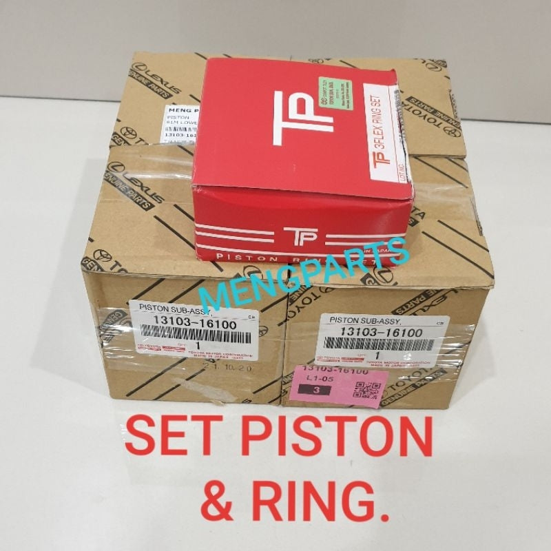 Piston Assembly with Pin