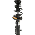 ROADMATIC STRUT ASSEMBLY