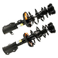 ROADMATIC STRUT ASSEMBLY