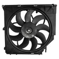 0410 BW X3 (600 WATT) w/ BLM RAD & COND CFA