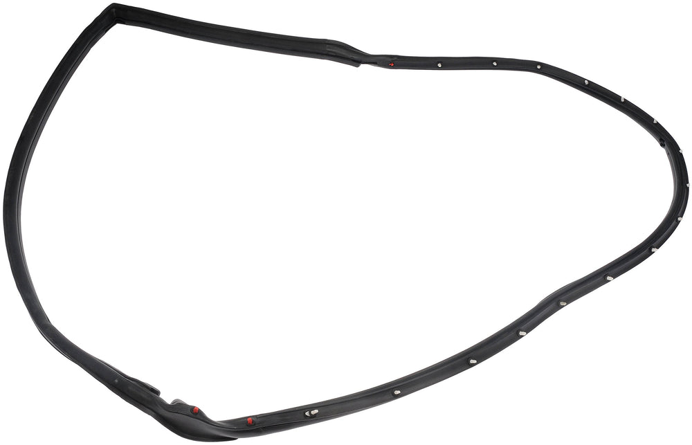 DRIVER DOOR SEAL