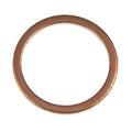 OIL DRAIN PLUG GASKET