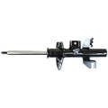 OESPECTRUM PREMIUM STRUT