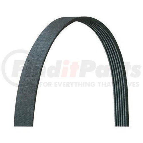 SERPENTINE BELT
