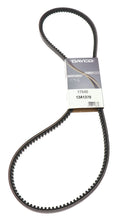 FAN BELTS