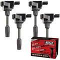 Expansion Plug Kit
