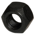 Rocker Arm Nut