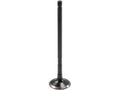Intake Valve