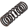 Valve Spring