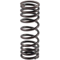 Valve Spring