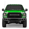 2015-2017 FORD F-150 BUMPER-ARMOUR