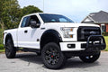 BULL BAR 2019 RAM