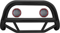 2005-2010 TOYOTA SIENNA BULL BAR-MA