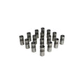 Ford V8 .874 Hyd Lifter Set - Direct Lube